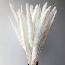 Natural Dried Pampas Grass Phragmites Communis Reed Plume Wedding Flower Bunch Home Decor In 2020 Pampas Grass Decor Pampas Grass Grass Decor