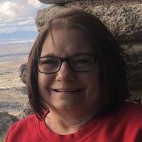 Janet Lee Schmitt Obituary