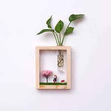 Pin On Indoor Plants