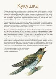 что есть у птиц и чего нет у других животных Pticy Nashih Lesov Podelki S Detmi V 2020 G Prirodovedenie Pticy Veselye Fakty