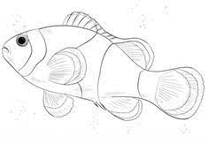Cute clown coloring pages tilly the page fish pictures to color. 10 Clownfisch Ideas Clown Fish Fish Coloring Page Fish Drawings