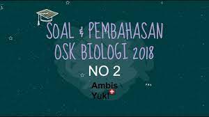 Jul 04, 2017 · download soal & pembahasan osk osp osn biologi sma lengkap. Soal Dan Pembahasan Osk Biologi Sma 2018 No 2 Youtube