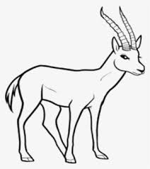 Check spelling or type a new query. Wild Animals Png Free Hd Wild Animals Transparent Image Pngkit