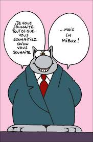 Jolly Joy Aka Zumo De Manzana On Voeux Anniversaire Humour Bonne Annee Humour Le Chat Geluck
