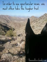 Spectacular Trail View Quote From Bananabuzzbomb Com View Quotes Hiking Quotes Hiking Training