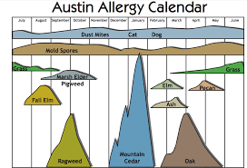 Austin We Have An Allergy Problem Gene Food