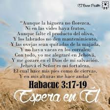 Yo Soy El Buen Pastor Habacuc 3 17 19 Dichos Religiosos Habacuc 3 17 Palabra De Vida