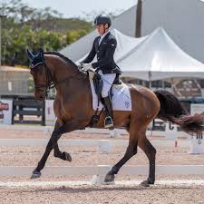 80,800% for Baltasar de Ymas (CDE) and Pau Gómez Molina in the FEI YH  Finals for 6 year olds! Thank you Scott Hessler! Awesome ride Pau!!! 📸Lily  Forado @paugo21 @scott_hasslerofficial @lilyforado #younghorses #
