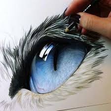 See more ideas about animals, color pencil art, pet birds. Artistic Blue Eye Eye Blue Art Artistic Drawing Color Pencil Drawing Color Pencil Art Art Drawings