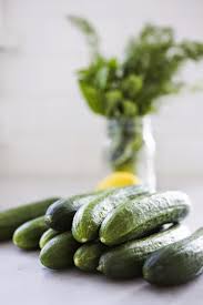 Check spelling or type a new query. Cucumber Salad With Cilantro And Lime Feasting At Home