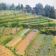 Teras Bebasbanjir2015