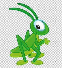 Insect Cricket Png Clipart Amphibian Bee Bush Crickets Cartoon Cicadas Free Png Download