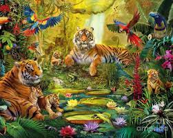 Check spelling or type a new query. Rainforest Animals Wallpapers Top Free Rainforest Animals Backgrounds Wallpaperaccess