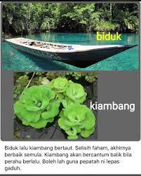 Ibarat kiambang, ki tidak teguh; Facebook