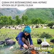 Uyan Coban Uyanin Surude Kurt Var Bak Sen Su Talihe