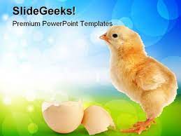 This game was made for chines. Chick New Born Animals Powerpoint Templates And Powerpoint Backgrounds 0511 Powerpoint Shapes Powerpoint Slide Deck Template Presentation Visual Aids Slide Ppt
