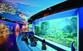 Istanbul Aquarium In Florya Where What To See Top Attractions