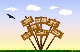 Going Local Vs Global Choosing Your Domain Extension