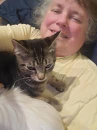 New addition to family of cats