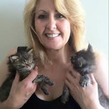 Profile for Laduma Maine Coons