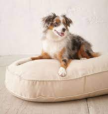 bowser hemp dog bed dog milk pretty dog beds aussie dogs soft dog beds