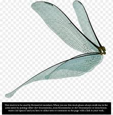 Select from 35970 printable coloring pages of cartoons, animals, nature, bible and many more. Dragonfly Fairy Wings Render By Frozenstocks Dragonfly Wings Side View Png Image With Transparent Background Toppng