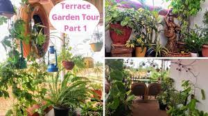 Terrace Garden Tour Part 1 Hindi Monsoon Terrace Garden Balcony Decoration Ideas Balcony Decoration Ga Garden Tours Terrace Garden Garden Makeover