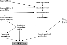 In contrast to stable angina, the pain or discomfort of unstable angina often occurs while resting, lasts longer, is not eased with medication. Pathophysiology Of Unstable Angina Thrombosis Research