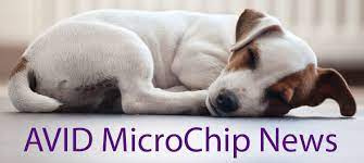 Avid designs, manufactures and distributes it's own patented pet microchips and microchip scanners and reunites lost pets by operating pettrac, the official pet recovery service for avid microchips. Pet Microchip News Avid Microchips And Pettrac Database