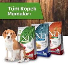 Nd Mama Nd Kopek Mamasi Nd Kedi Mamasi Markamama