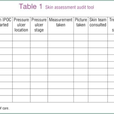 Skin Assessment Audit Tool Download Table