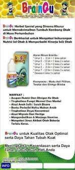 Hasil gambar untuk brainqu cikampek