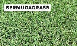 Image result