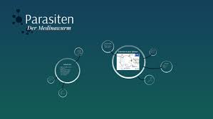 Warum weibliche gottesanbeterinnen verschlingen ihre partner beim sex. Parasiten By Lennart Knodel On Prezi Next