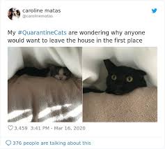 Pin On Corona Virus Humor