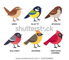 Cedar Waxwing Brown Birds That Look Like Cardinals Pin On Embroidery