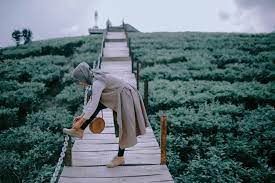 Apabila laju pengurangan kebun teh tidak Potret Memesona Kebun Teh Gunung Gambir Di Jember Pesonanya Patut Diuber