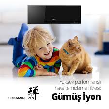 Havada Bulunan Bakteri Ve Polen Gibi Alerjenleri Etkisiz Hale Getiren Kirigamine Zen In Yuksek Performansli Gumus Iyon Filtresi Sayesinde Havani Goruntuler Ile Zen Iman Ikiz