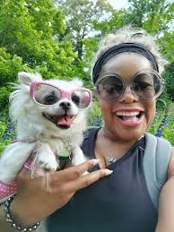 Mountain dog Monday paws roaming mountains