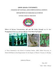 Image result for Oreosyce africana