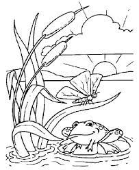 Coloriage A Imprimer Grenouille Dans Joli Etang Gratuit Et Colorier Frog Coloring Pages Coloring Pages Bug Coloring Pages
