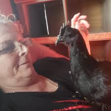 My young Rooster grows a better beard then I can