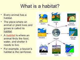 Maybe you would like to learn more about one of these? What Is Habitat Know It Info