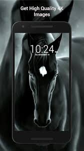 Best 240x320 horse wallpaper, old mobile, cell phone, smartphone desktop background for any computer, laptop, tablet and phone. Download Horse Wallpaper Hd Free For Android Horse Wallpaper Hd Apk Download Steprimo Com