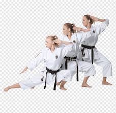 Kata is often described as a set sequence of karate moves organised into a prearranged fight against imaginary opponents. World Karate Kata World Karate Federation Pinan Shotokan Heian Bunkai Kumite Karate Kata World Karate Federation Kata Png Pngwing