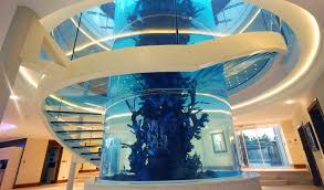 Diapo Staircase Stairs Design Home Stairs Design Aquarium Architecture