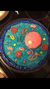 We did not find results for: 12 Cell Model With Clay Ideas Cell Model Cells Project Cell Model Project