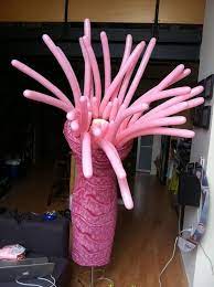 Pin On Events Adventure Atlantis Ideas