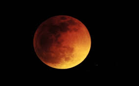 Lunar/solar eclipse leona concept art. Download Lunar Eclipse Leona Wallpaper Wallpaper Getwalls Io