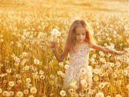 Kết quả hình ảnh cho ảnh đẹp